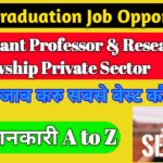 UGC NET ke baad Job Opportunities